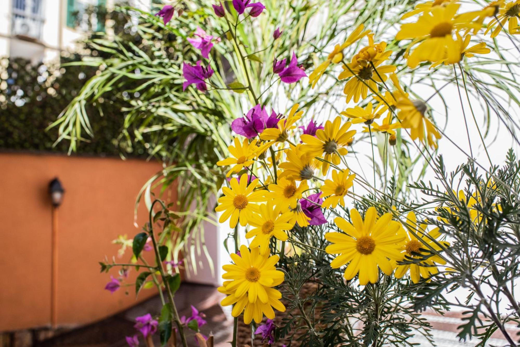 Spanish Steps Apartment & Terrace โรม ภายนอก รูปภาพ